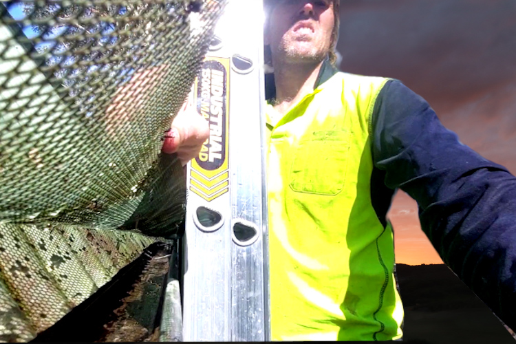 
Local wollongong Gutter Cleaner Demonstrates Gutter Guard-Protected Cleaned Gutter