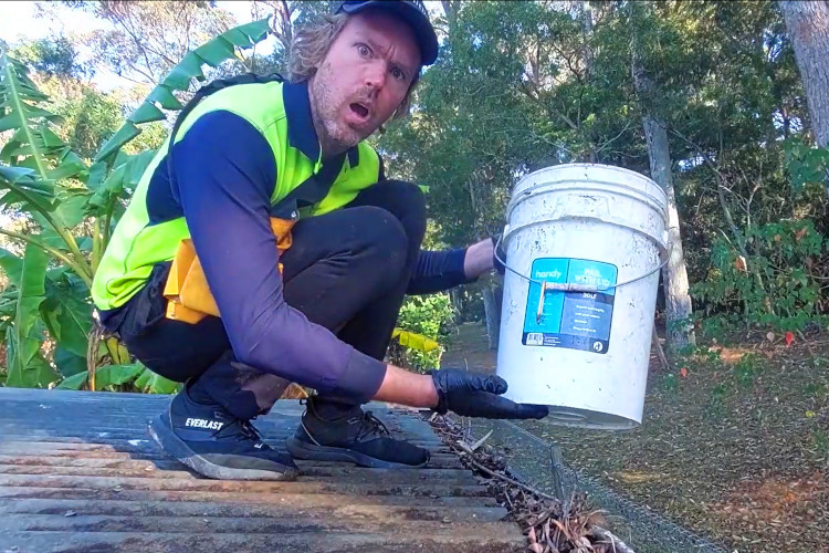 
wollongong Gutter cleaning showcases how crucial a bucket is for the task.