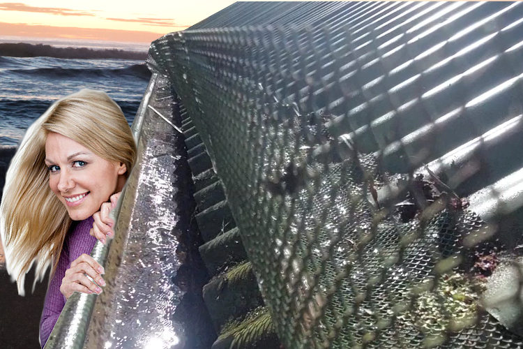 
Gutter Guard-Enhanced Cleaned Gutter: wollongong Woman`s Inspection