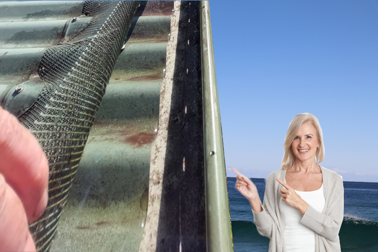 
Cleaned Gutter Guards: wollongong Woman`s Delight in the Transformation